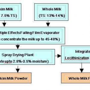 SMP/WMP/ Dairy whitener Plant