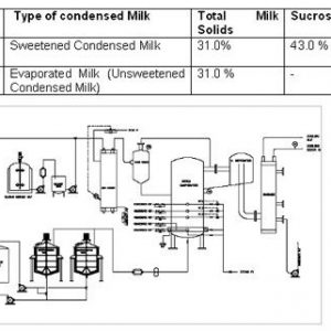 Evaporated Milk Plant